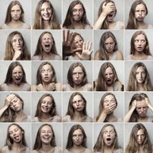 Emotions in Adult Teaching: Allies or Enemies?