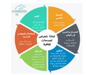 المصدر) https://chameleon-coaching.com/en/why-we-experience-culture-shock/ :تم النفاذ إليه بتاريخ 15 مارس 2024(